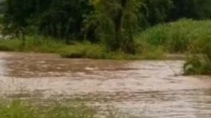 696e73e7220f0_700_394! (1)