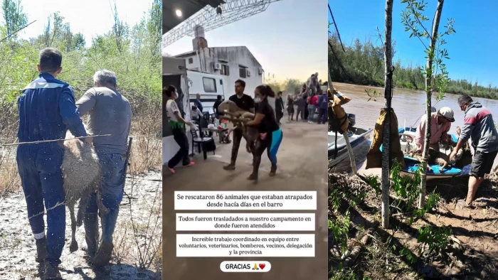 69c446284a2ce_700_394!