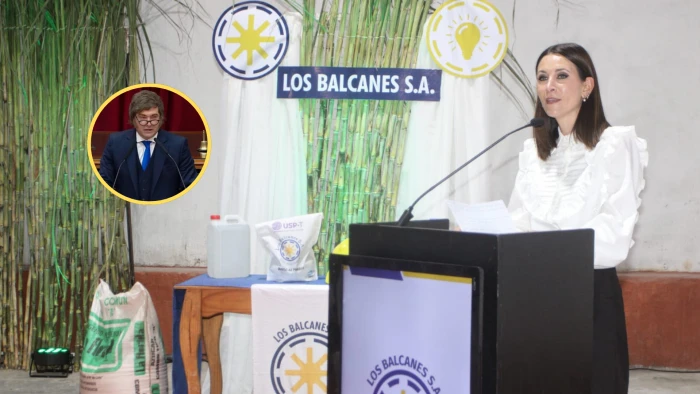 69d6af230265e_700_394!