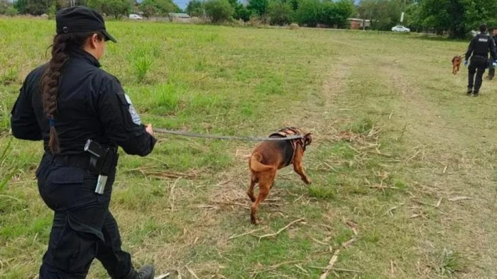 68dfa3f252e35_700_394!