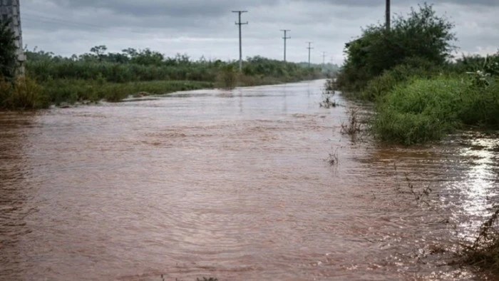 69cbacceb4dd5_700_394! (1)