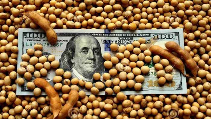 642d8bd00ceb7_700_394!