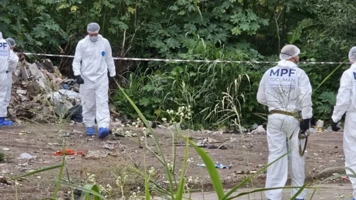 69ccf0744b26e_700_394!