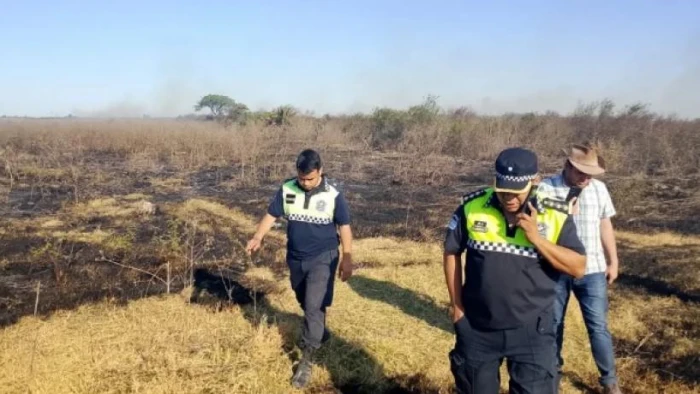 68e8d7cb08e9d_700_394!