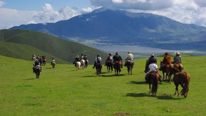 695b8e0c59b97_700_394!